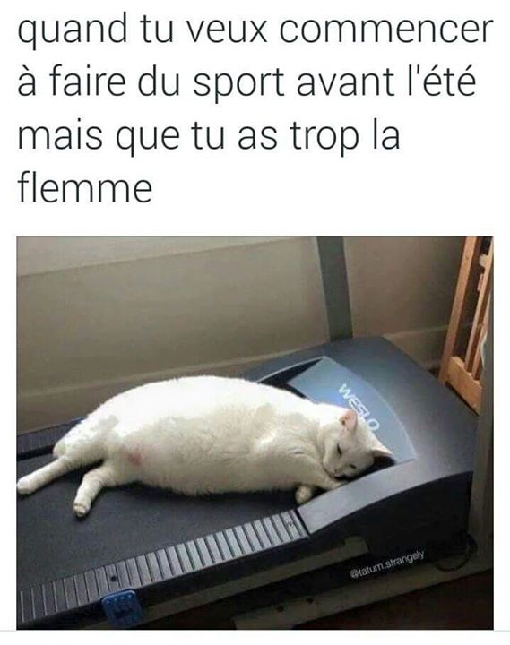 manque de motivation