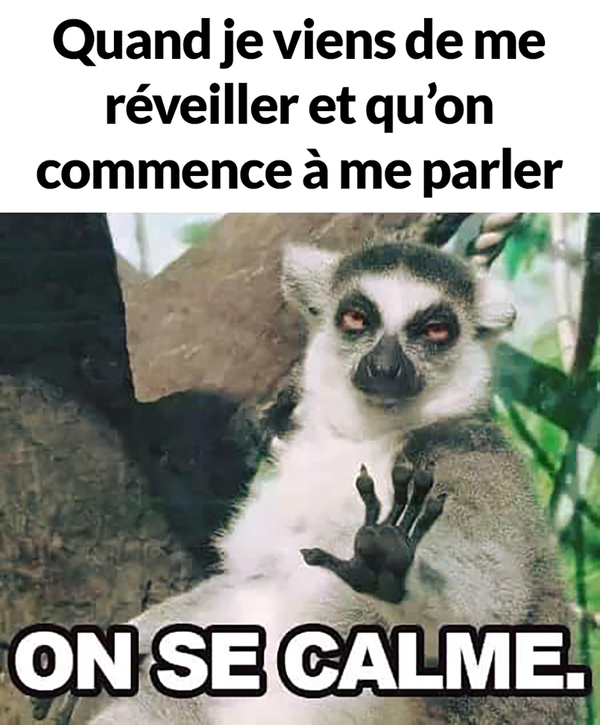 calme...du calme