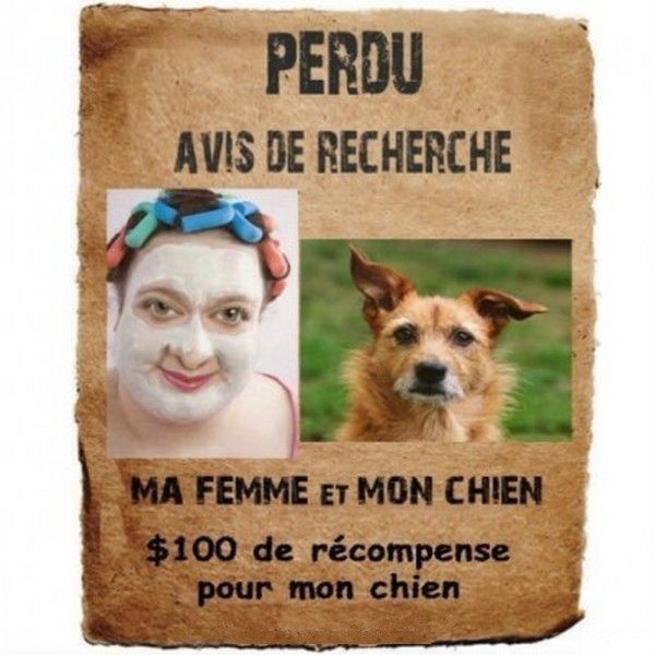 avis recherche...hi..hi..