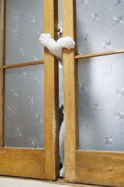 ouvreeeeeeeee...ouvre....