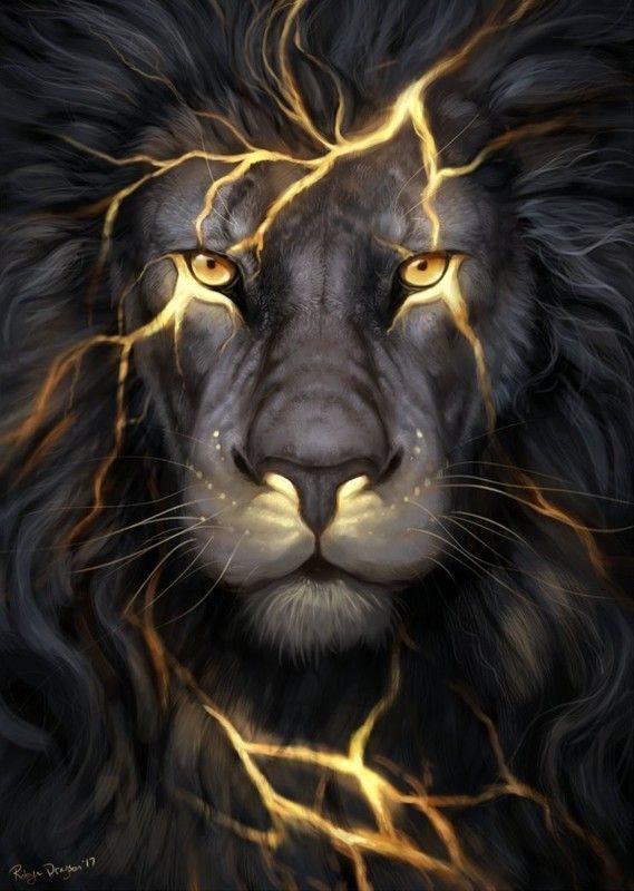 lion
