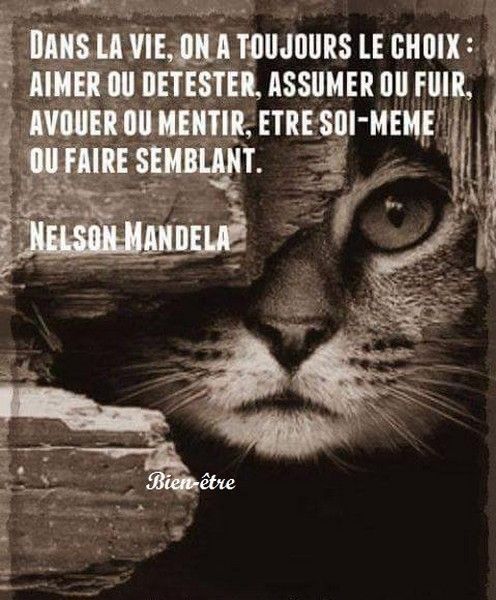 faire ces choix