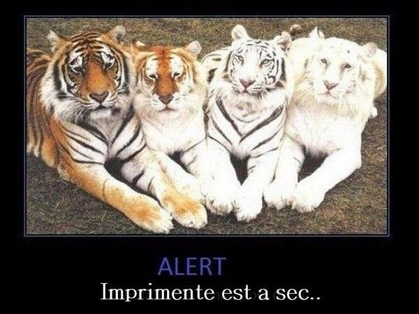 Affiche...