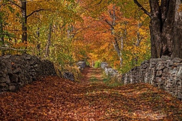 sentier automnal