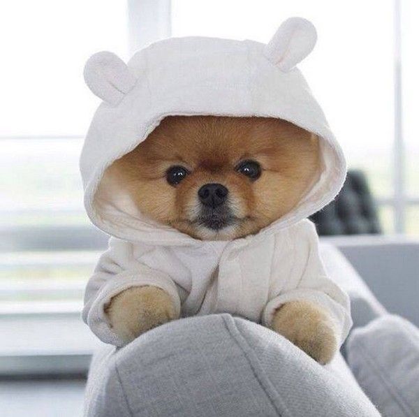 pijama toute