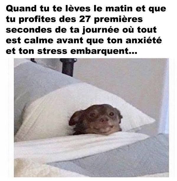 les matins au réveil