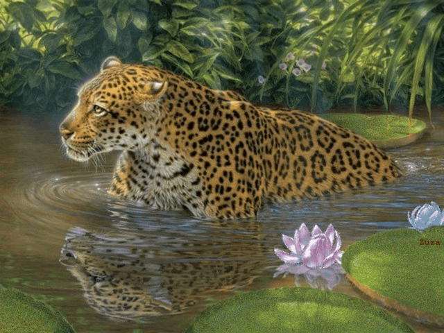 bel nature