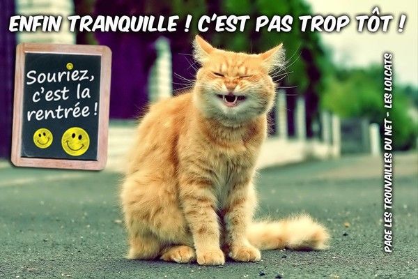 hi.hi.....d'aucun