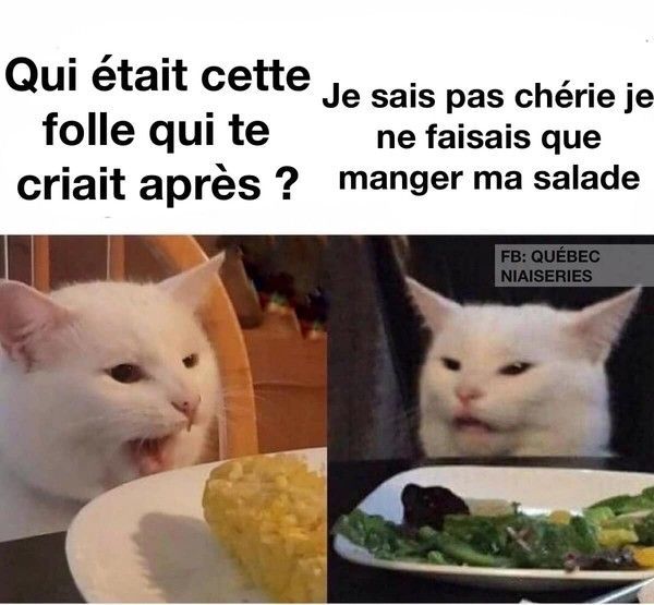 et chat