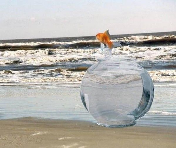 Fini...les vacances...