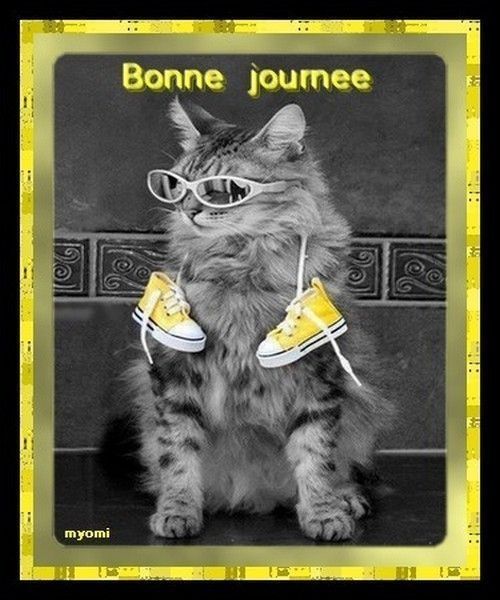 bonne journée