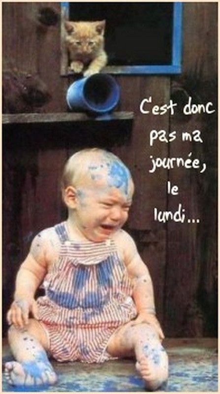 Mdr...les lundi...