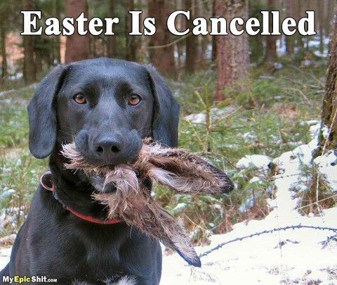 Désolé ....crois... cancel pâques...