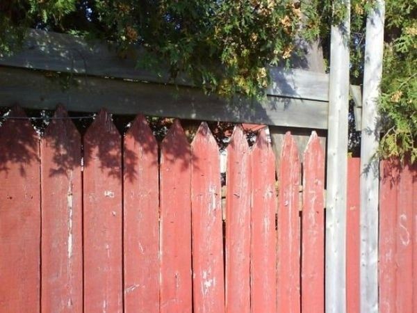 Un autre ...trouvez le chat...