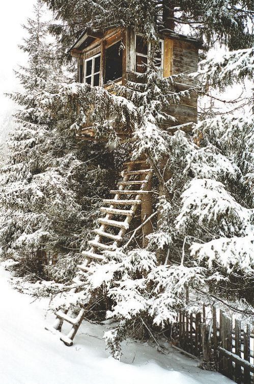 Paysage d'hiver
