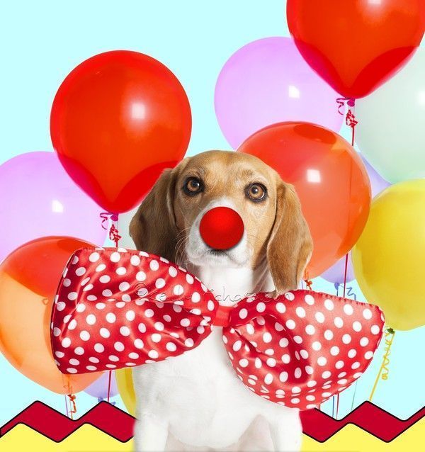 clownwrie