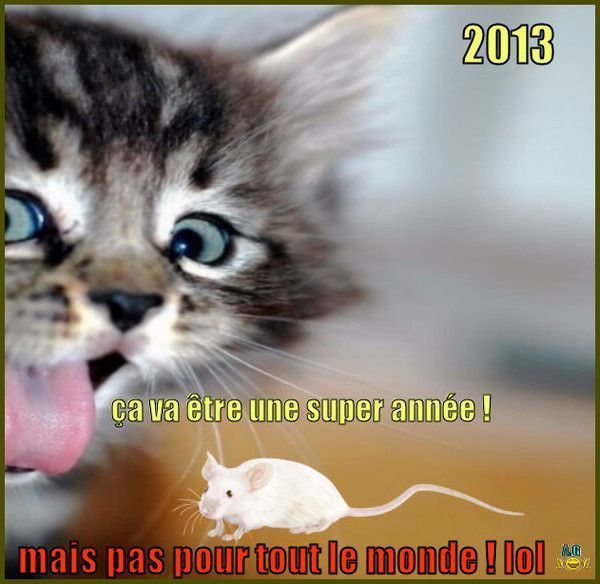 Qui vas être dans les ....