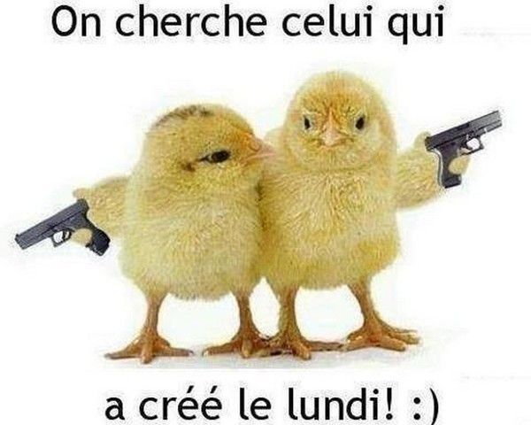 yé..ou......le 