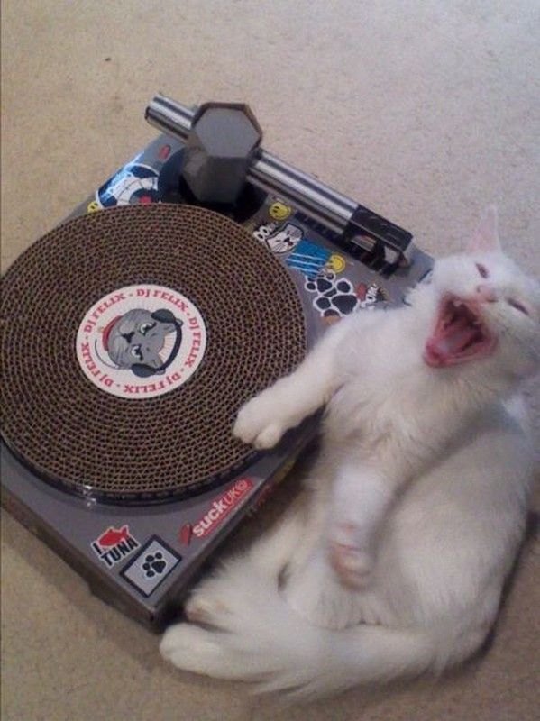 Ce soir...le DJ..est