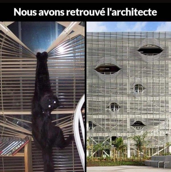 chercher