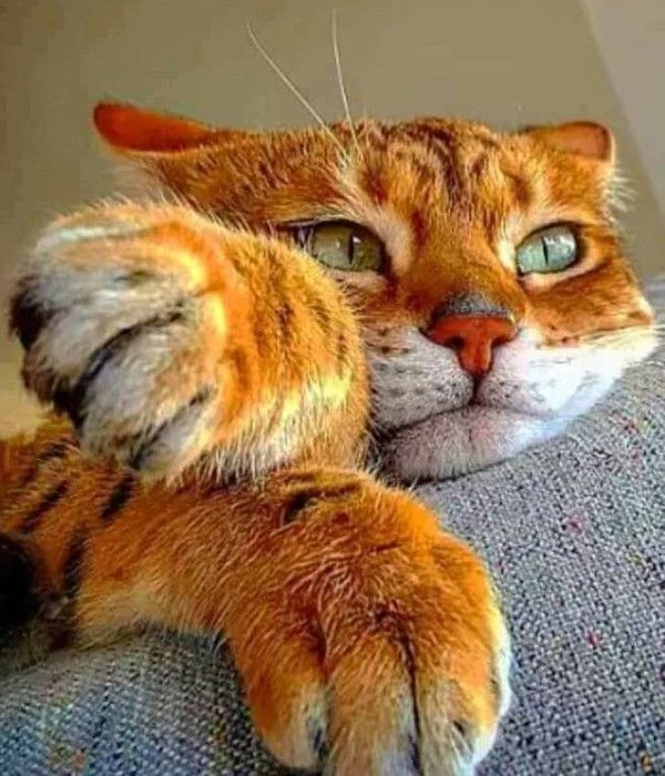 quand tu y arrive pas