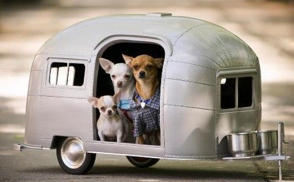 Vacance en camping.....