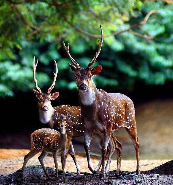 Printemps...en vue....