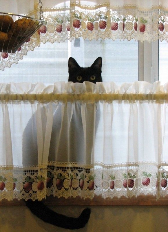 coucou...