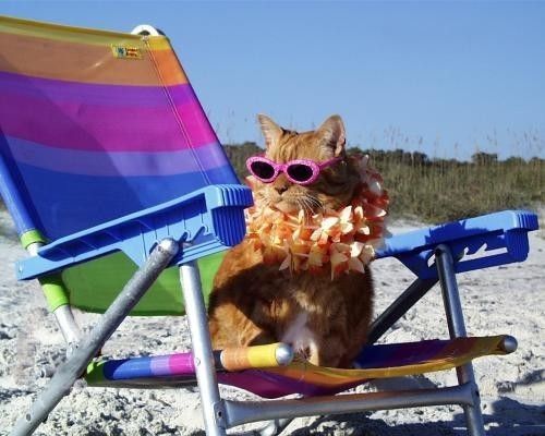 Bonne vacances....encore...