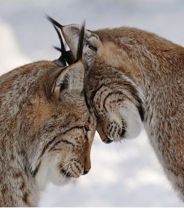 moment tendresse