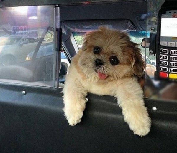 Alors sa vient ..hi.hi..