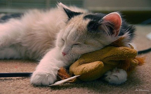 dormir....a l'heure 