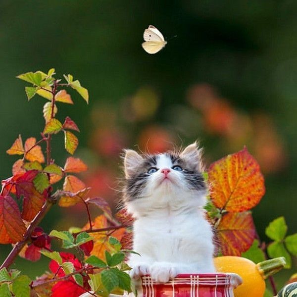 re'coucou....