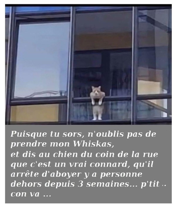 faire faire tes