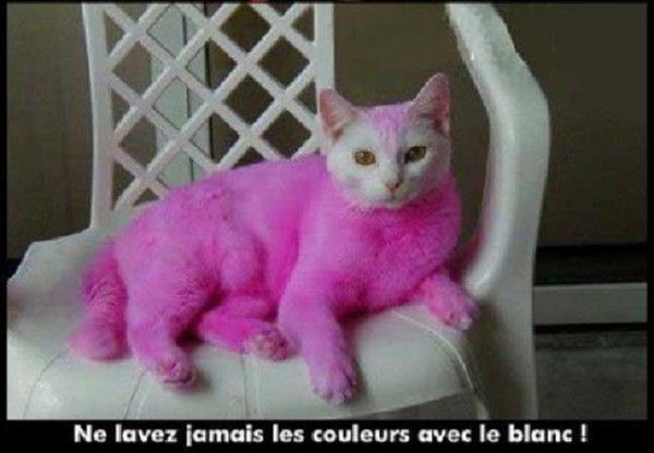 Non le blanc...