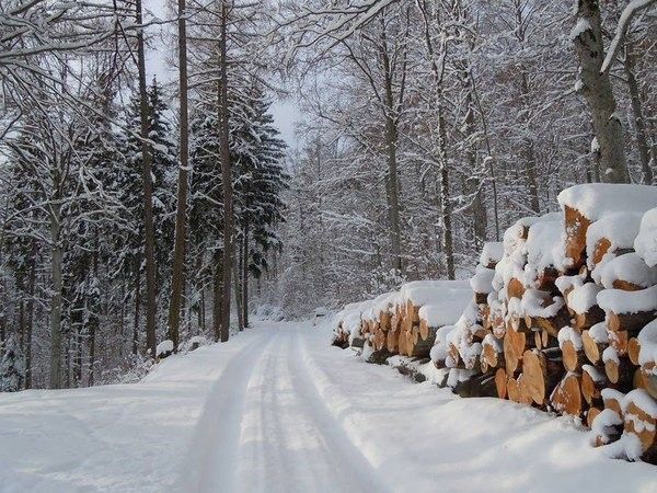 Sentier de neige...