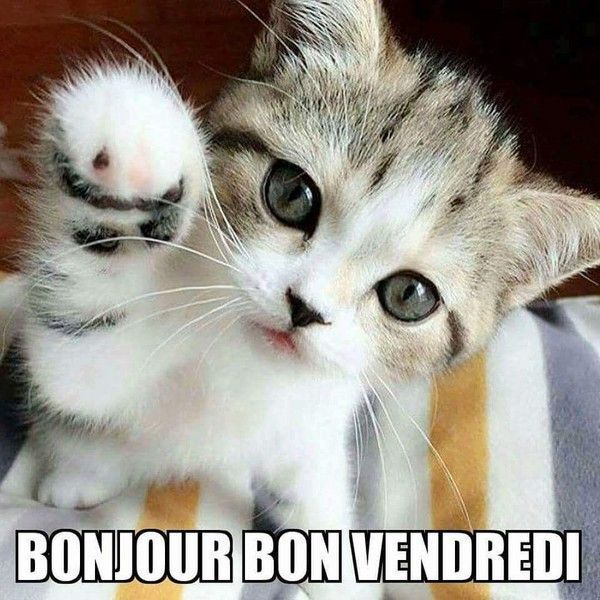 bonjour
