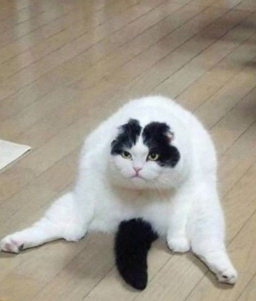 j'haï les lundi.......