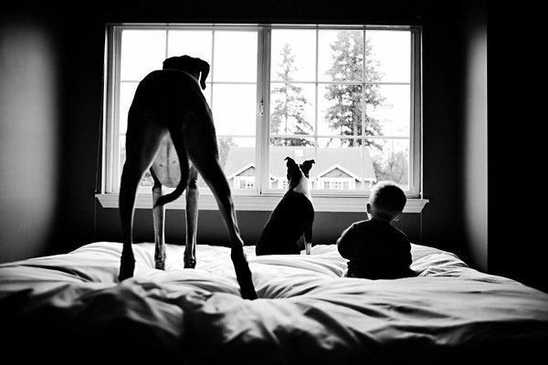 bon matin