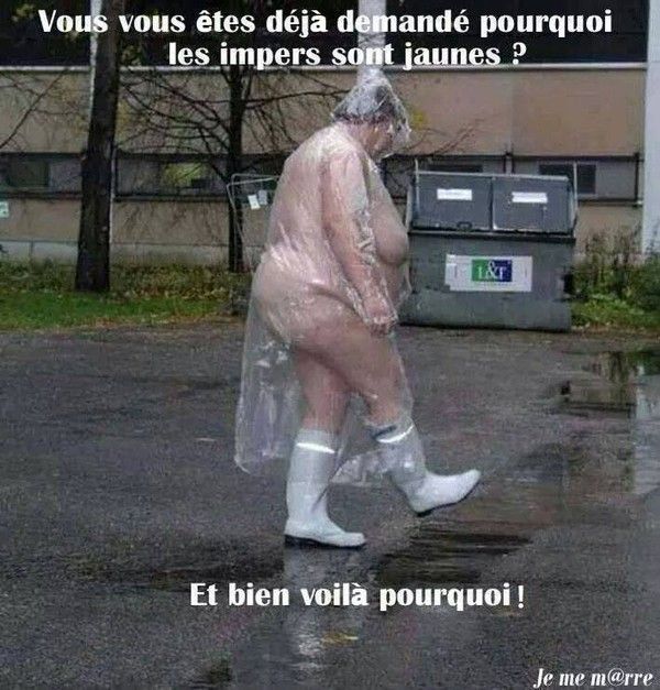 pourquoi.....pourquoi....