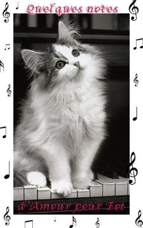 La musique.....