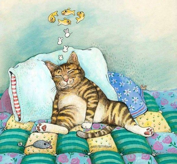 chat fais 