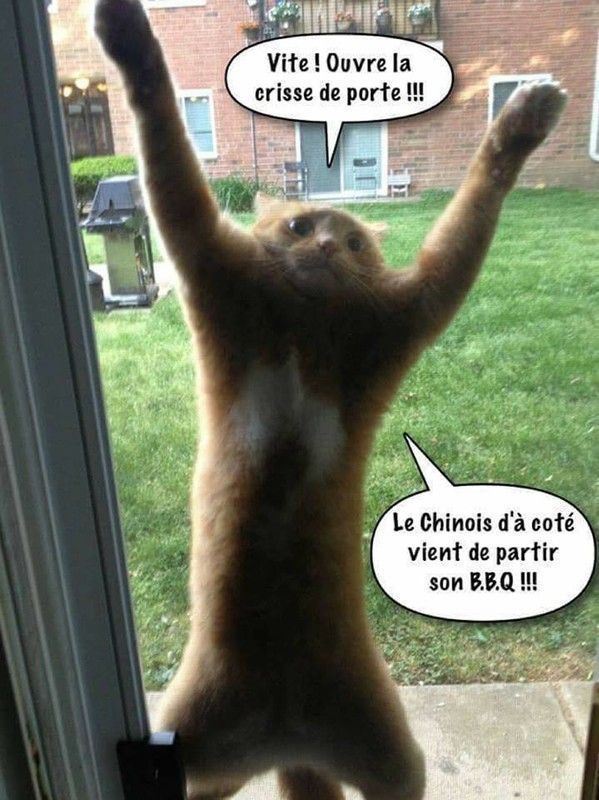 la saison du 