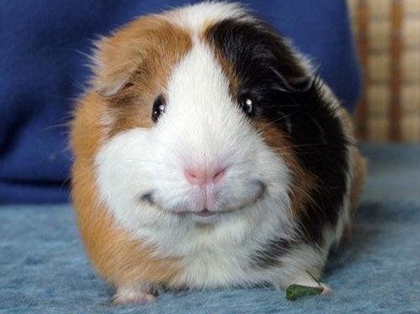 Smile....hi.hi..