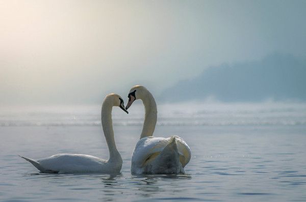 des amoureux.....moment tendre