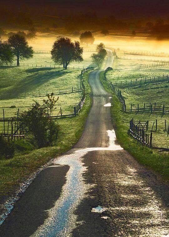 a chacun sa route...hi..hi..