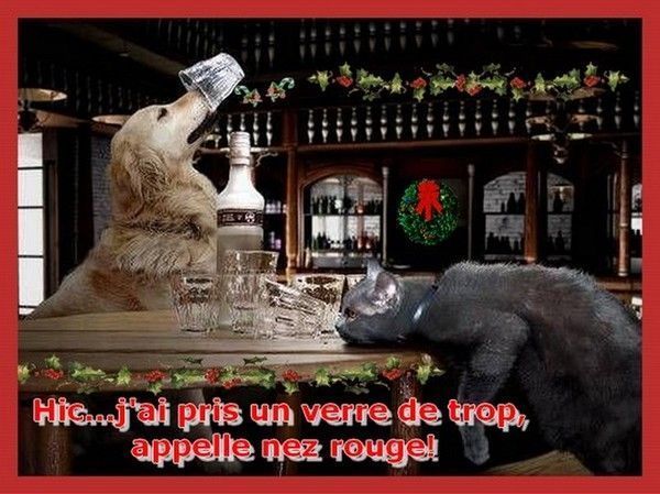 et si vous festoyer
