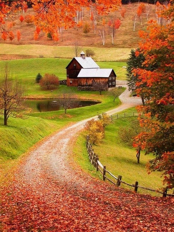 Automne rural