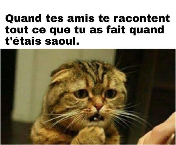 une bonne raison
