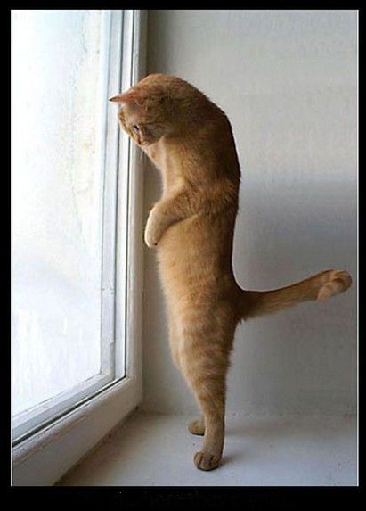 enfin...encourageant....